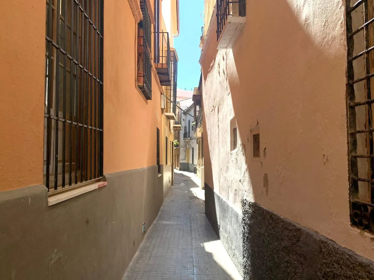 Homely Malaga Pozos Dulces 27 Centro Historico 0*,  İspanya